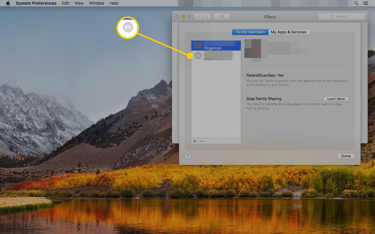 Управление настройками семьи на экране Mac с выделенным именем члена семьи