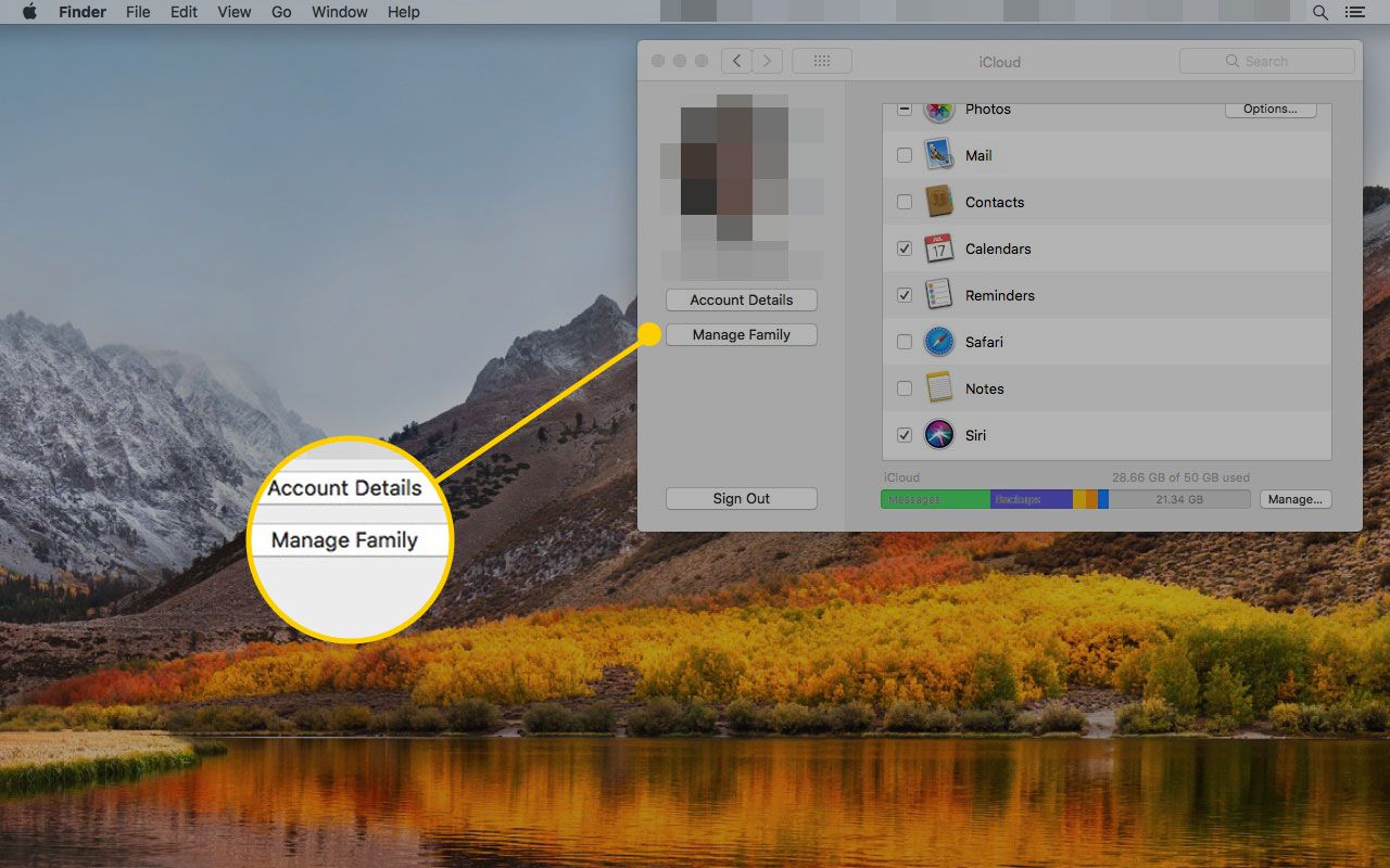 Настройки ICloud на Mac со специальной кнопкой управления семьей